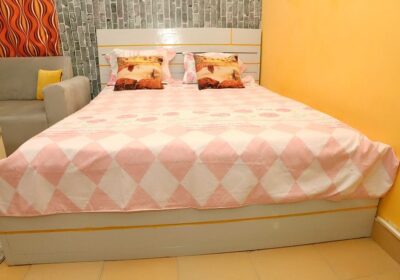 WhatsApp-Image-2024-12-09-at-12.56.55