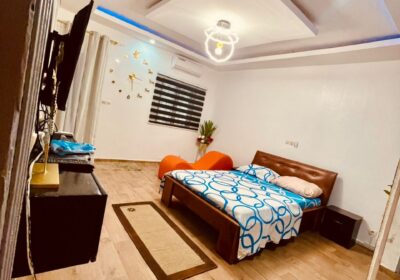 dfe74cd4-2495-40d0-ba7d-f5001fbefb31