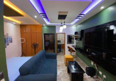 7843d072-856b-4d08-aa42-5e0733f6baaf