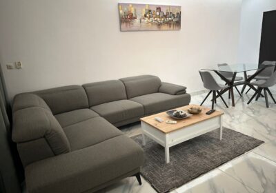 ecb566ce-7640-4897-93bc-9a67a186bd3c-1