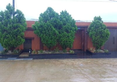 WhatsApp-Image-2026-03-29-at-09.33.16